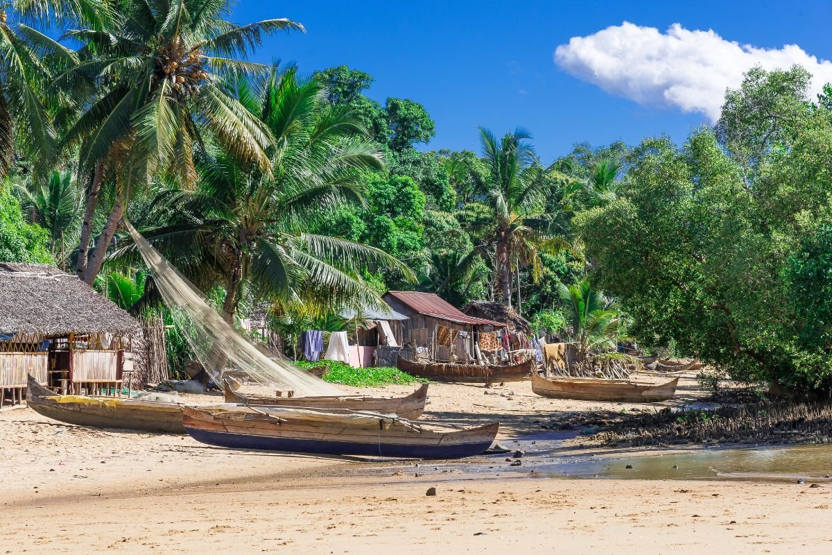Forêt tropicale malgache